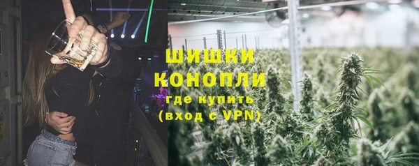шишки Балабаново