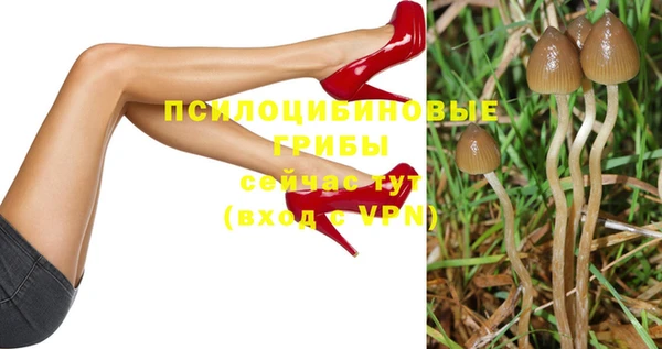 шишки Балабаново
