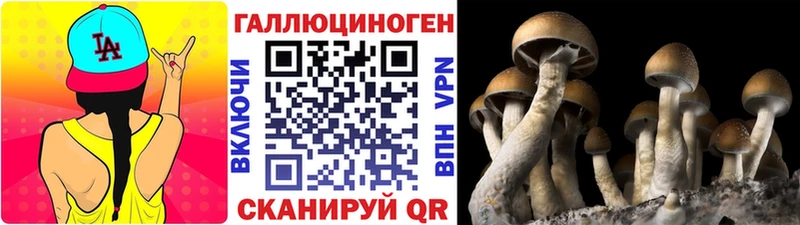 Галлюциногенные грибы мухоморы  цены наркотик  кракен сайт  Козельск 